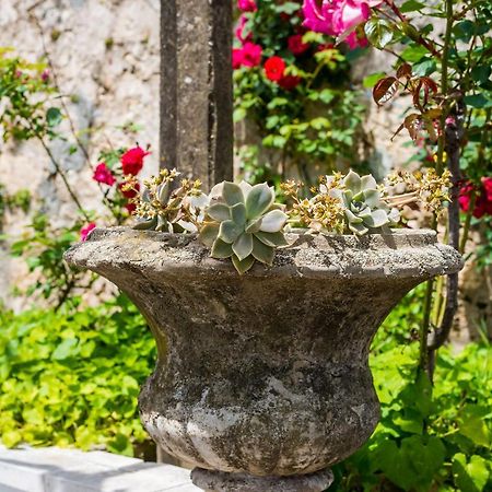 Apartment Marija Close To Old Town Dubrovnik Exteriör bild