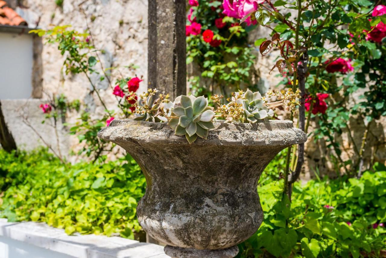 Apartment Marija Close To Old Town Dubrovnik Exteriör bild