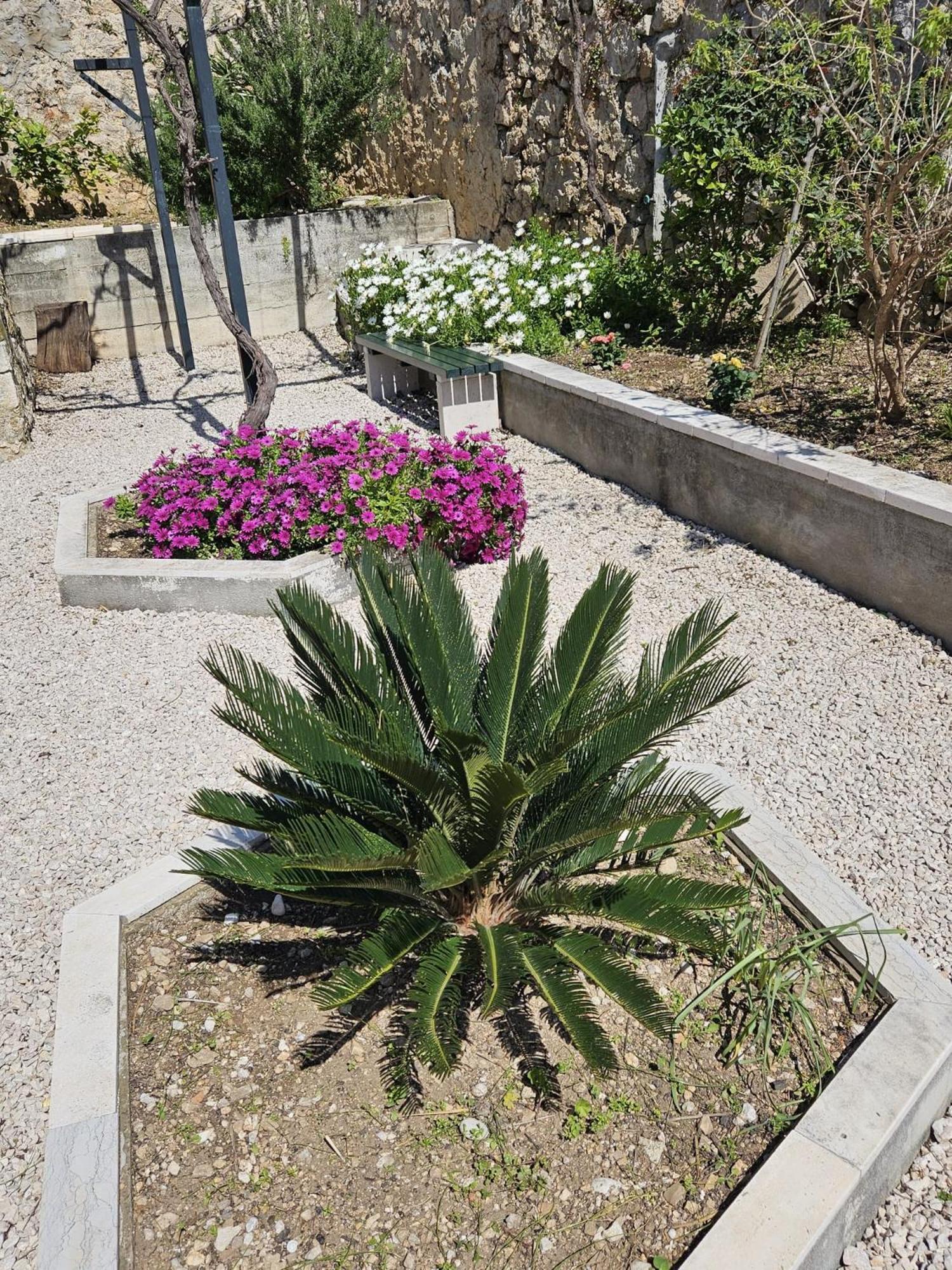 Apartment Marija Close To Old Town Dubrovnik Rum bild