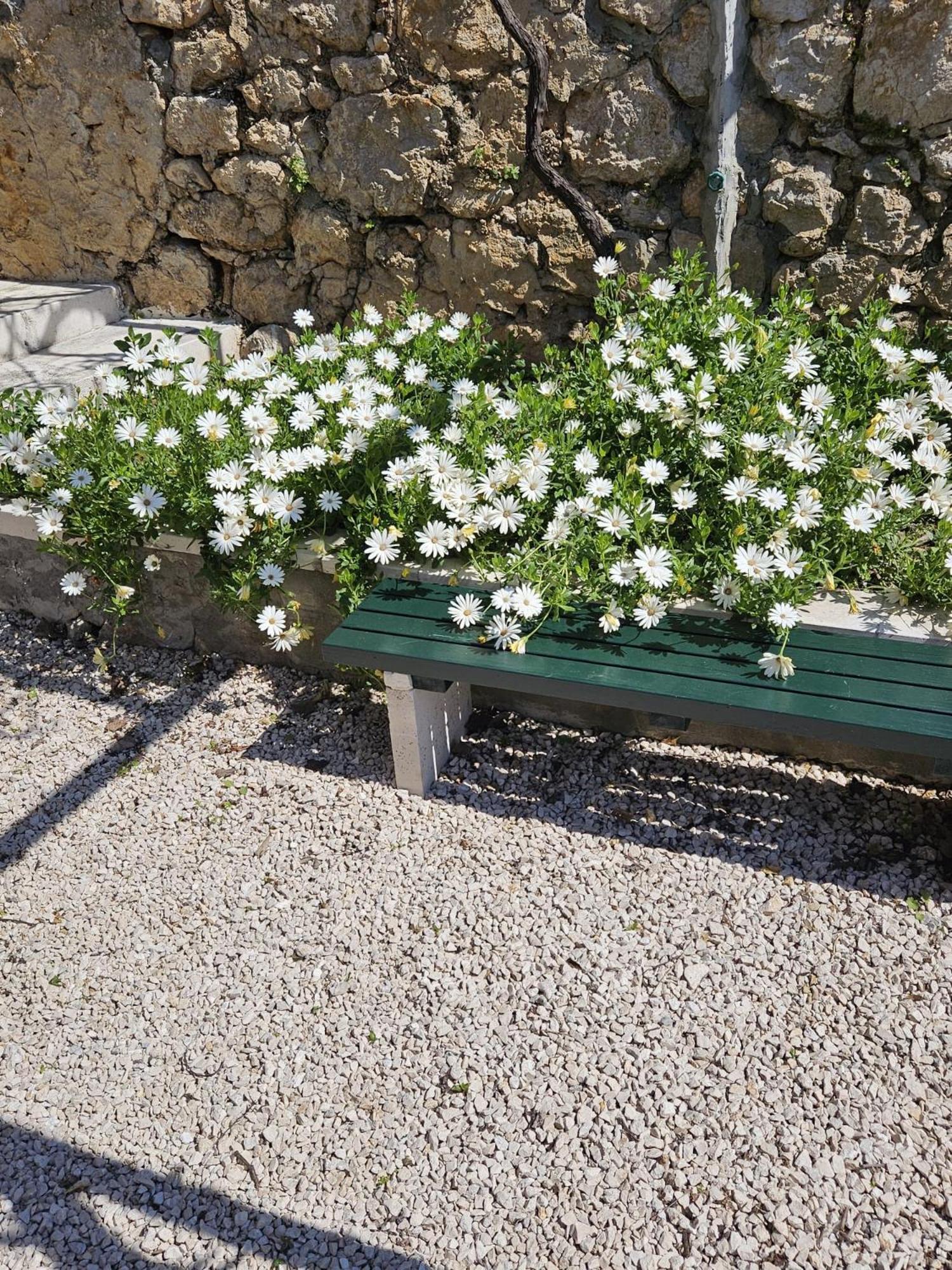 Apartment Marija Close To Old Town Dubrovnik Rum bild